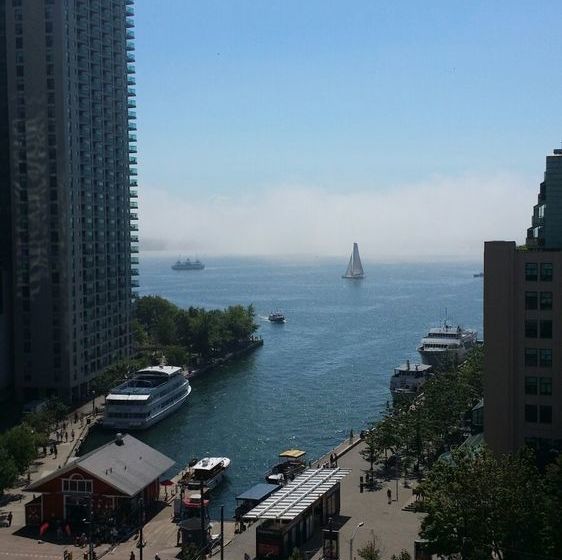 Pelican On The Harbour | Toronto | Ontario | Canada 10