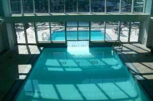 Pelican On The Harbour | Toronto | Ontario | Canada 11