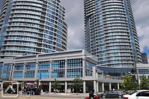 Pelican On The Harbour | Toronto | Ontario | Canada 12