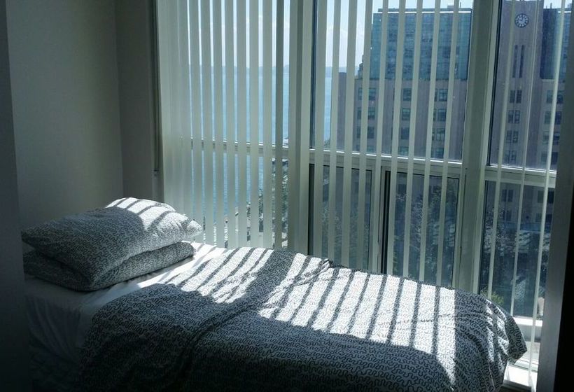 Pelican On The Harbour | Toronto | Ontario | Canada 2