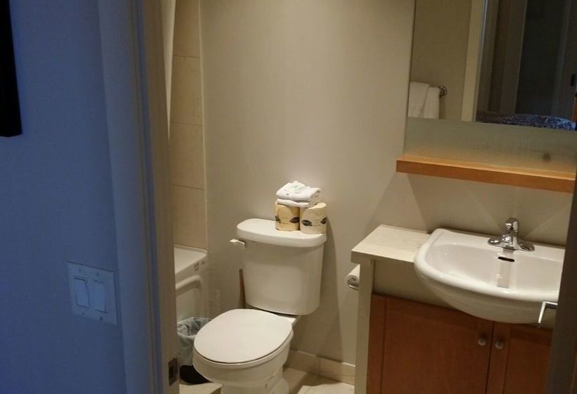 Pelican On The Harbour | Toronto | Ontario | Canada 6