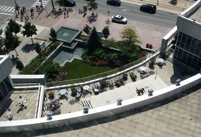 Pelican On The Harbour | Toronto | Ontario | Canada 7