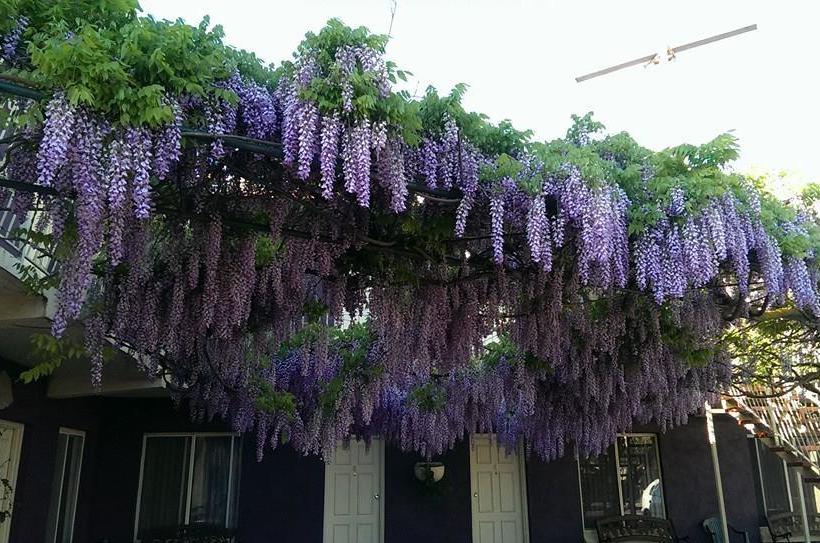 Barossa Gateway Motel | Nuriootpa | South Australia | Australia 2