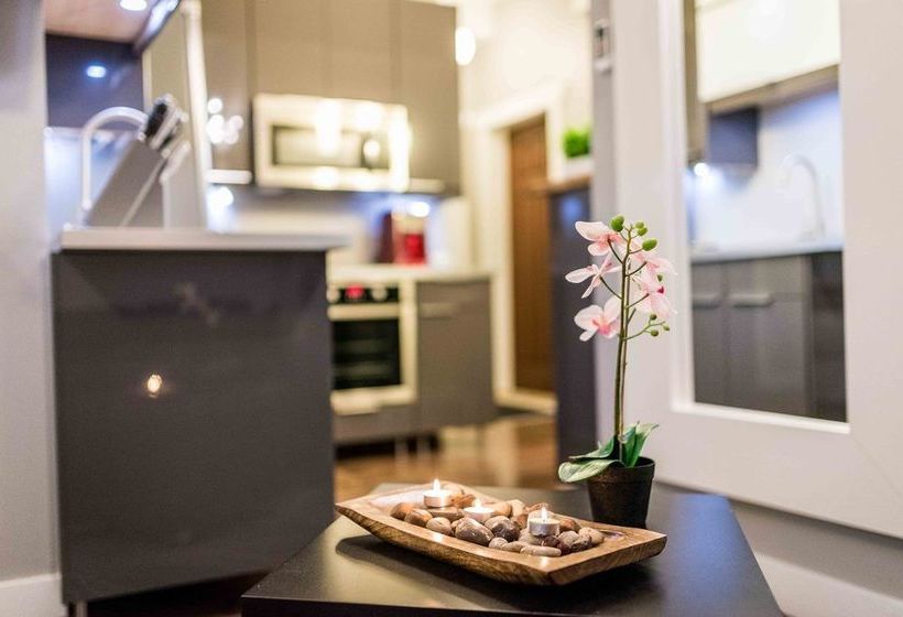 Bower On Queen | Moneton | New Brunswick | Canada 12