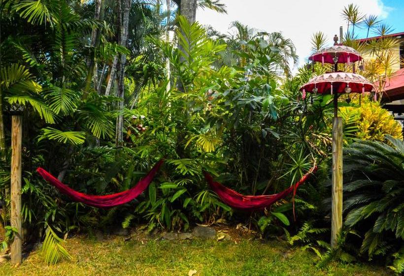 Albergue Tropic Days Backpackers Cairns