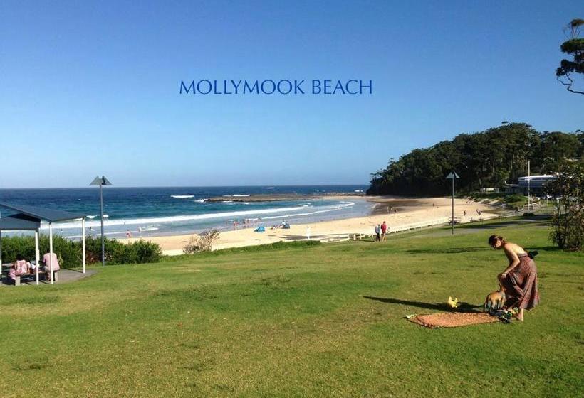 Motel Beach House Mollymook | Mollymook | New South Wales | Australia 6
