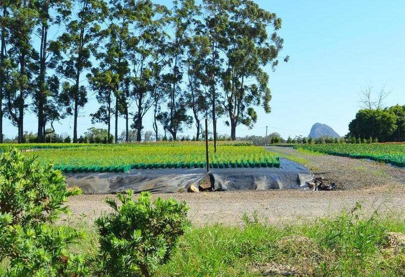 Beerwah Glasshouse Motel | Beerwah | Queensland | Australia 20