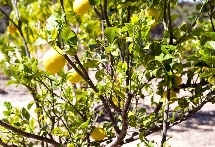 Bed and Breakfast Bed&Breakfast The Heights | Jurien Bay | Western Australia | Australia 18