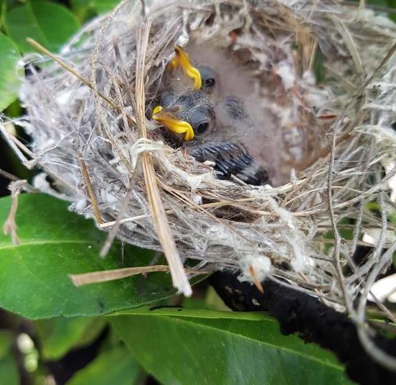 Bed and Breakfast Bed&Breakfast The Heights | Jurien Bay | Western Australia | Australia 20