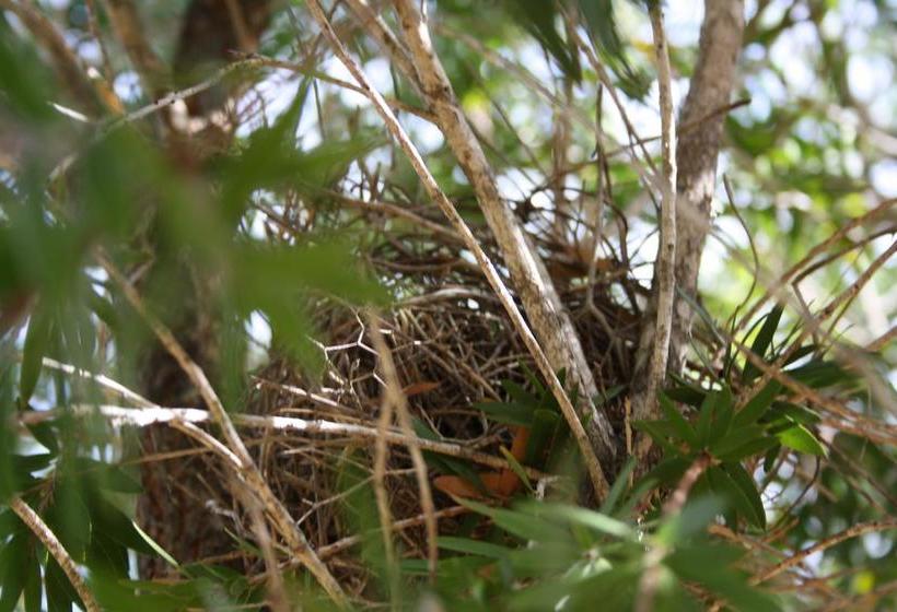 Bed and Breakfast Bed&Breakfast The Heights | Jurien Bay | Western Australia | Australia 5