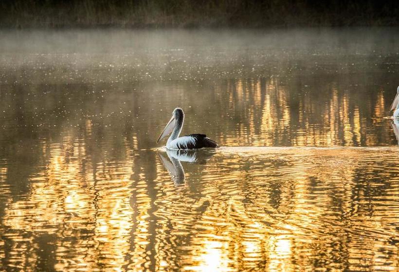 Aruma River Resort | Walker Flat | South Australia | Australia 6