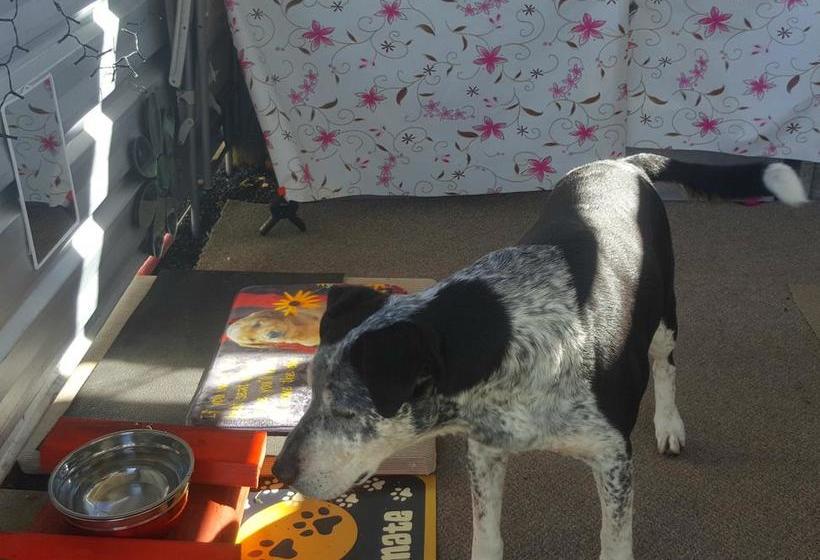 Meeniyan Motel | Meeniyan | Victoria | Australia 7