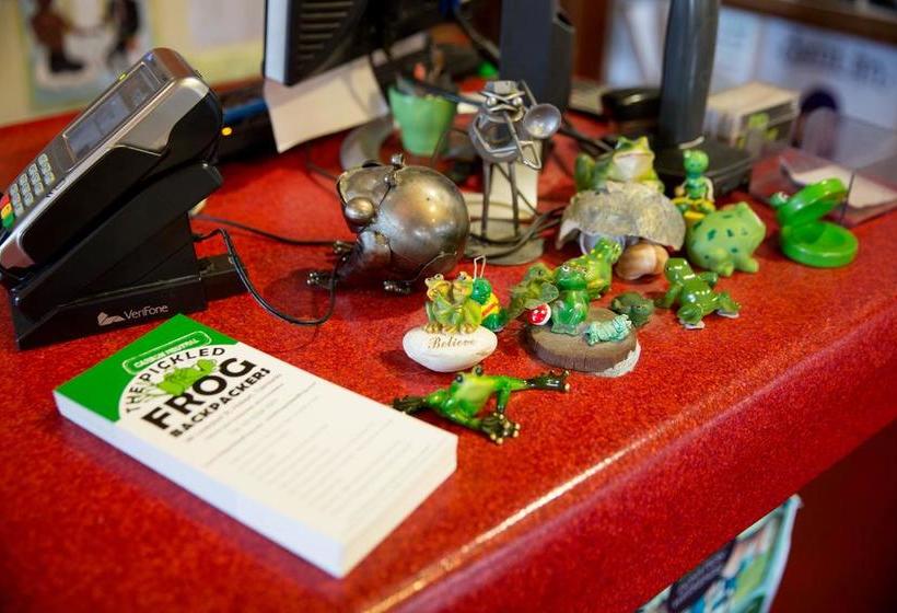 Herberge The Pickled Frog | Hobart | Tasmanien | Australien 10