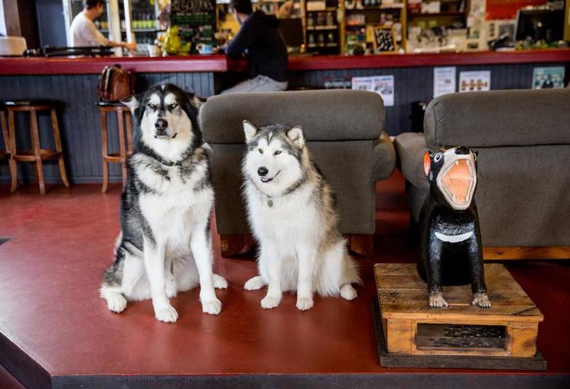 Herberge The Pickled Frog | Hobart | Tasmanien | Australien 3