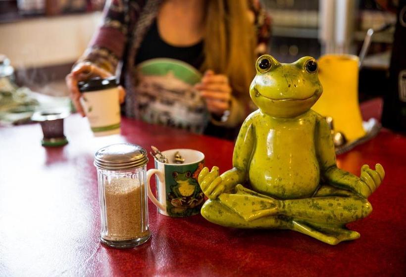 Herberge The Pickled Frog | Hobart | Tasmanien | Australien 5