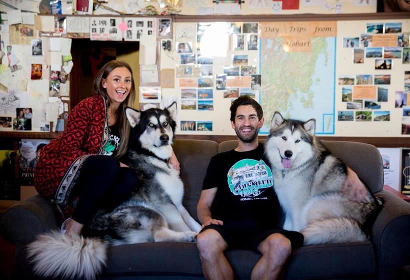 Herberge The Pickled Frog | Hobart | Tasmanien | Australien 7