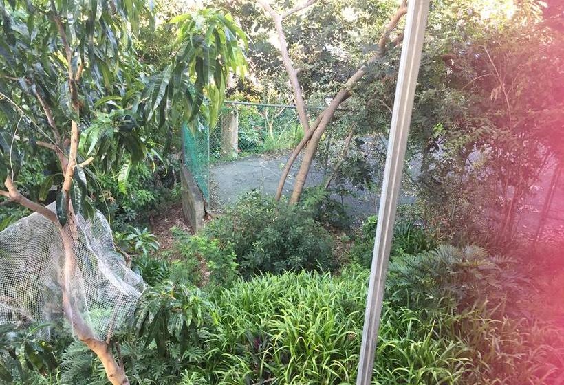 Bed and Breakfast Hidden Gem Burleigh Heads | Gold Coast  | Queensland | Australia 18