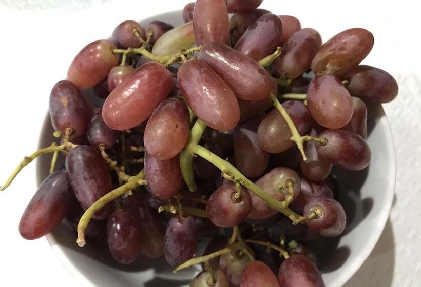 Bed and Breakfast Grange Adelaide | Adelaide | South Australia | Australia 11