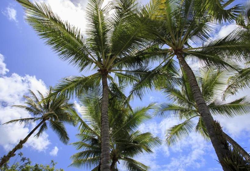 Hostel Scotty's Mission Beach Yha | Mission Beach | Queensland | Australia 11