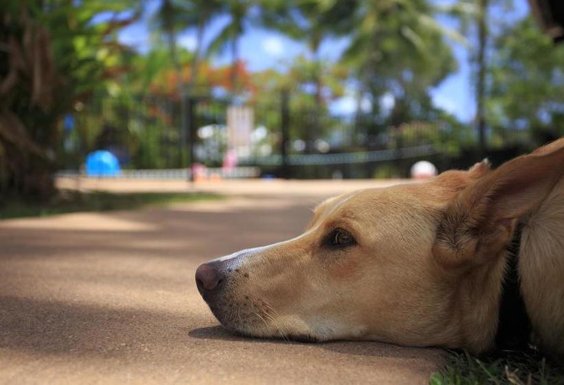 Hostel Scotty's Mission Beach Yha | Mission Beach | Queensland | Australia 8