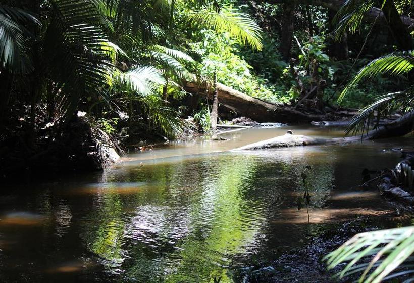 Bed and Breakfast Bed&Breakfast Mossman Gorge | Mossman | Queensland | Australia 17