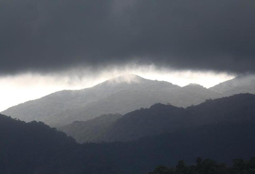 Bed and Breakfast Bed&Breakfast Mossman Gorge | Mossman | Queensland | Australia 19