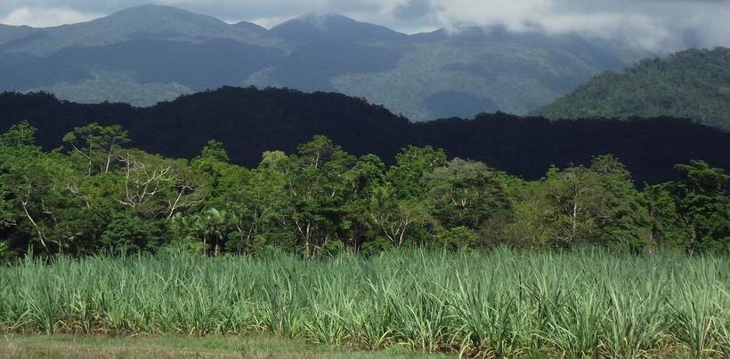 Bed and Breakfast Bed&Breakfast Mossman Gorge | Mossman | Queensland | Australia 20