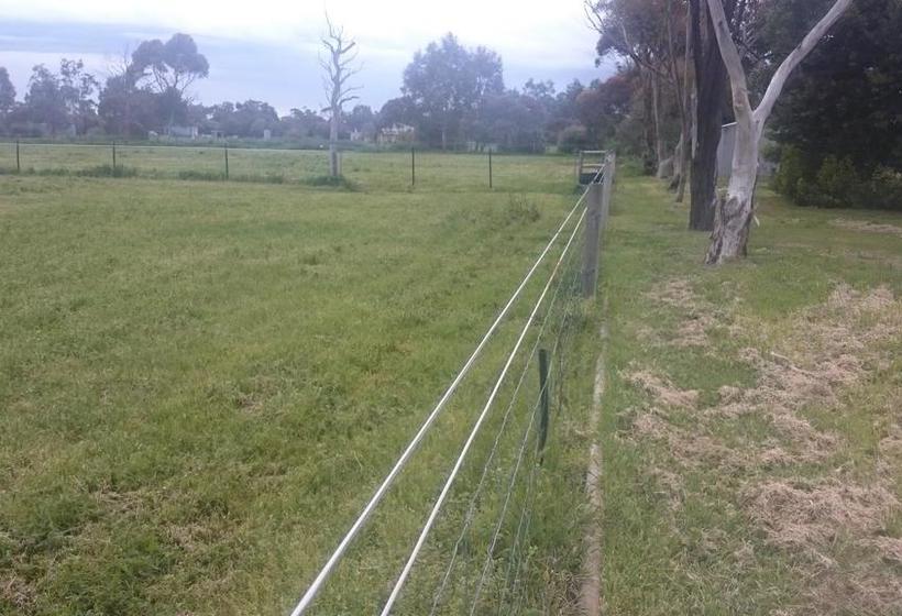 Bed and Breakfast Bed&Breakfast Gaerwood | Keith | South Australia | Australia 14