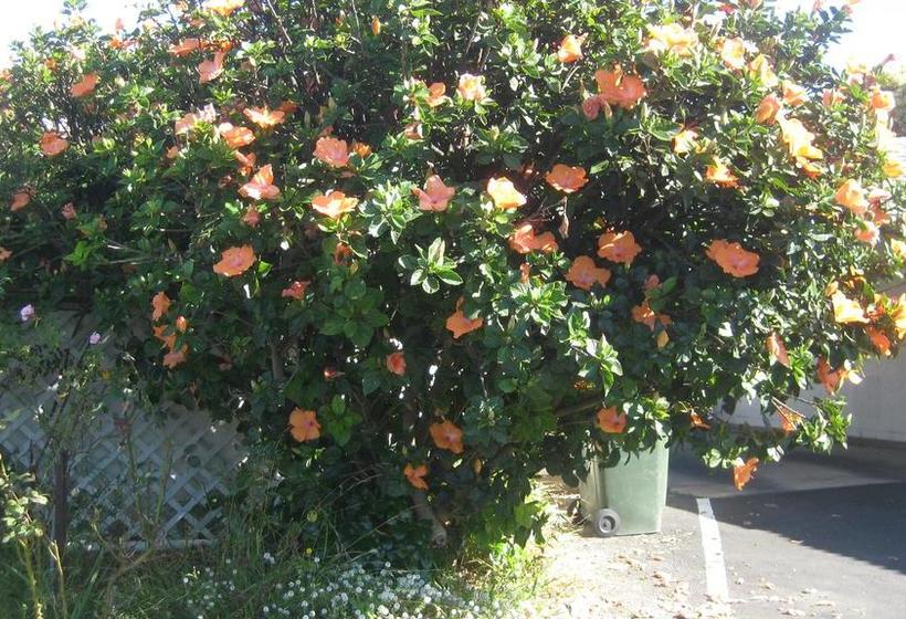 Robe Haven Motel | Robe | South Australia | Australia 11