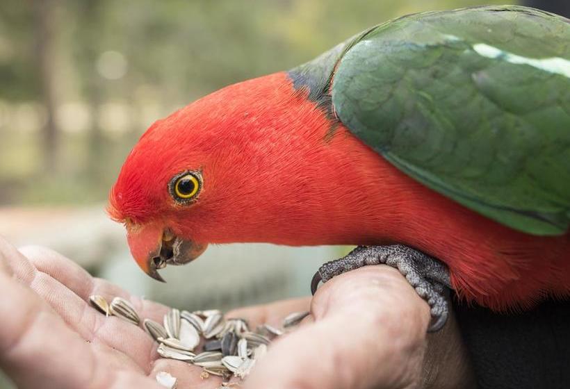 Hotel Gipsy Point Lodge & Cottages | Gipsy Point | Victoria | Australia 12