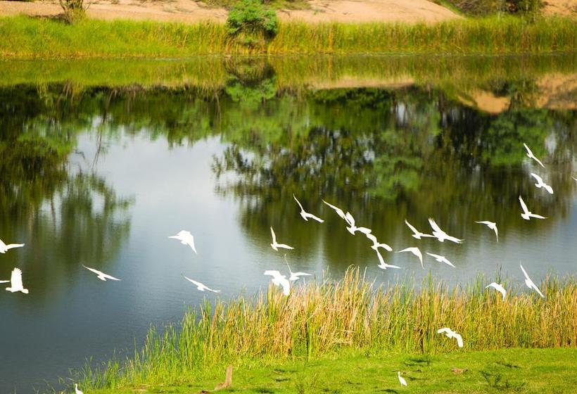 Bed and Breakfast Bed&Breakfast Bougainvillea Lodge Kununurra Australia Occidental