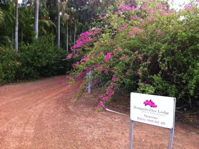 Bed and Breakfast Bed&Breakfast Bougainvillea Lodge | Kununurra | Western Australia | Australia 8