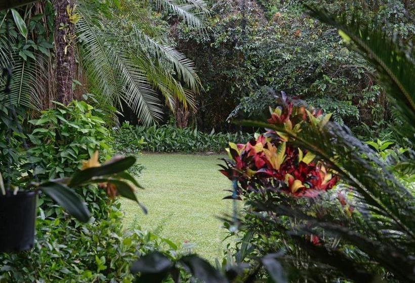 Bed and Breakfast Bed&Breakfast The Chantra Mission Beach | Mission Beach | Queensland | Australia 13