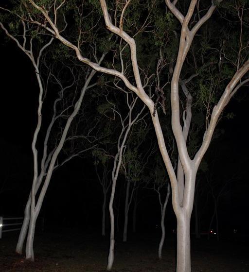 Sunbird Motel | Townsville | Queensland | Australia 14