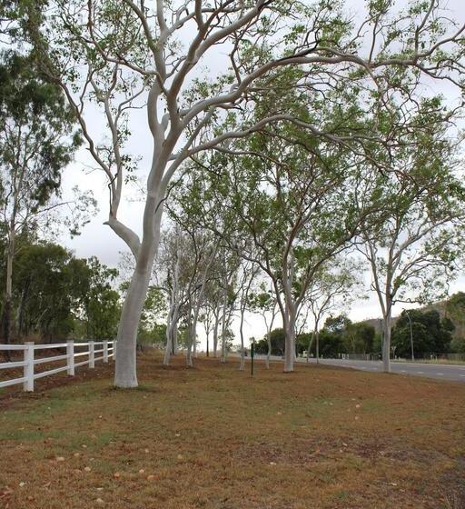 Sunbird Motel | Townsville | Queensland | Australia 15