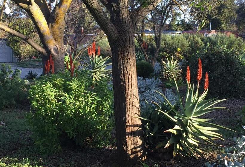 Bed and Breakfast Lyreen's Apartment | Auburn | South Australia | Australia 16