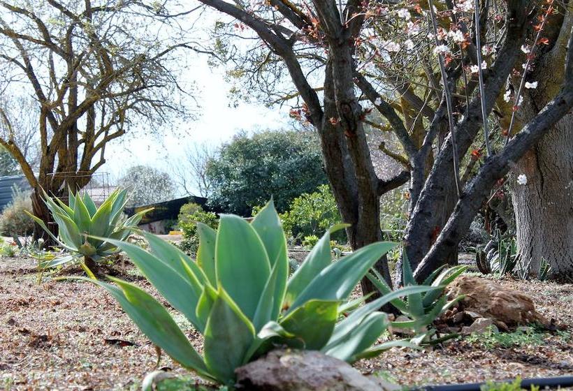 Bed and Breakfast Lyreen's Apartment | Auburn | South Australia | Australia 19