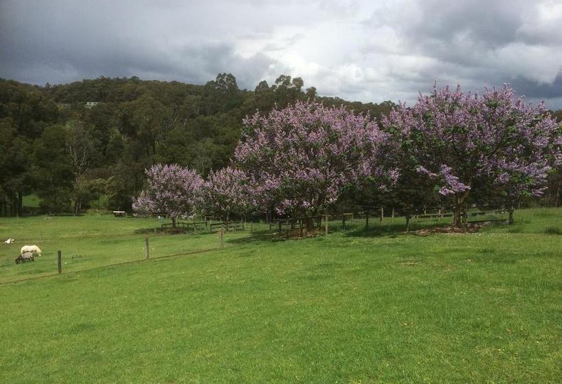 Bed and Breakfast Emerald Ridge | Melbourne | Victoria | Australia 7