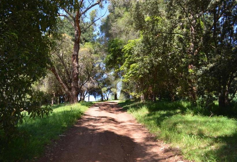 Bed and Breakfast Bed&Breakfast Twin Springs | Melbourne | Victoria | Australia 13