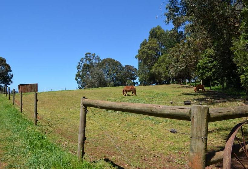 Bed and Breakfast Bed&Breakfast Twin Springs | Melbourne | Victoria | Australia 17