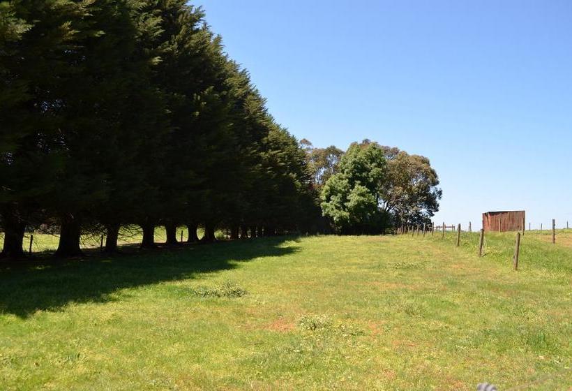 Bed and Breakfast Bed&Breakfast Twin Springs | Melbourne | Victoria | Australia 18