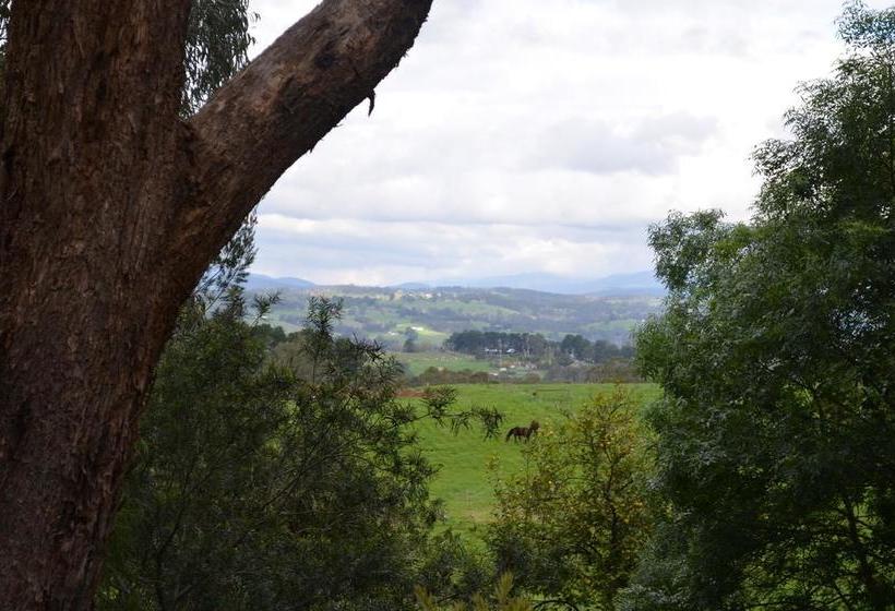 Bed and Breakfast Bed&Breakfast Twin Springs | Melbourne | Victoria | Australia 2