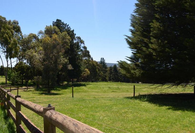 Bed and Breakfast Bed&Breakfast Twin Springs | Melbourne | Victoria | Australia 7