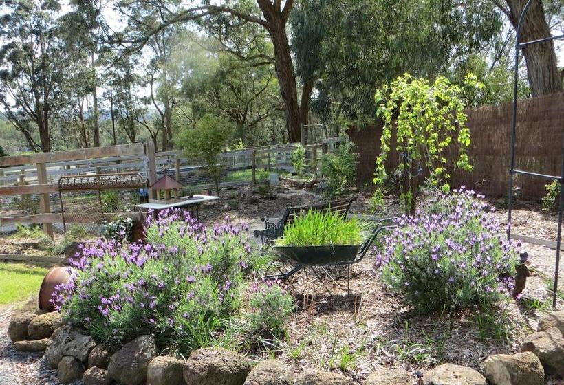 Bed and Breakfast Honeyeater Cottage | Melbourne | Victoria | Australia 11