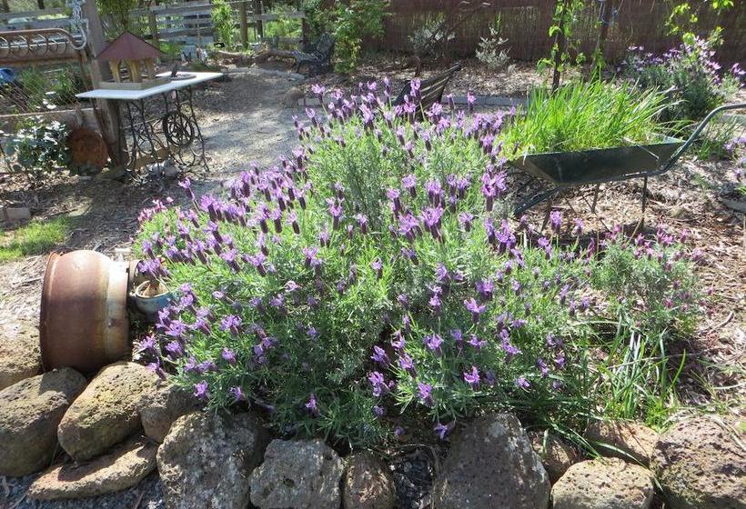 Bed and Breakfast Honeyeater Cottage | Melbourne | Victoria | Australia 17