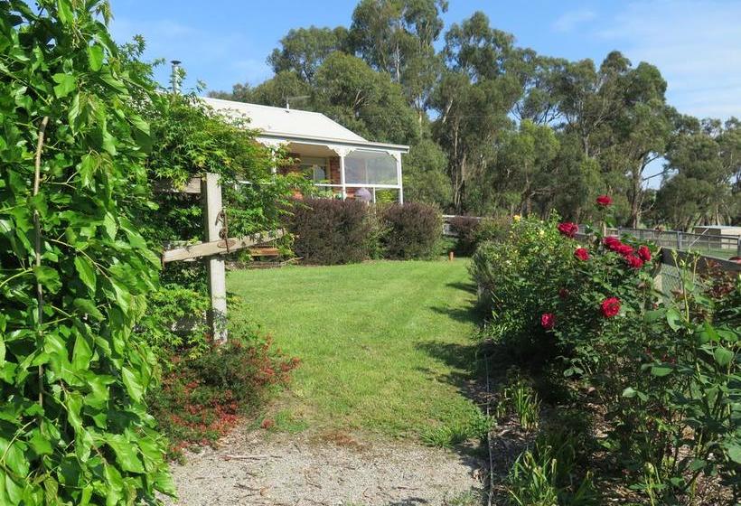 Bed and Breakfast Honeyeater Cottage | Melbourne | Victoria | Australia 3
