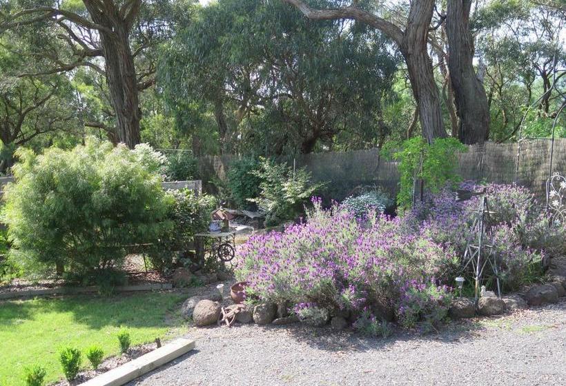 Bed and Breakfast Honeyeater Cottage | Melbourne | Victoria | Australia 4