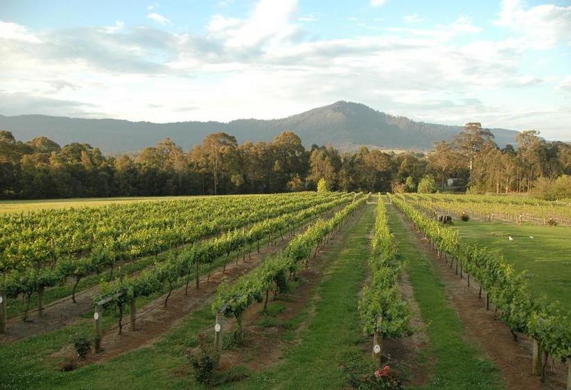 Bed and Breakfast Bed&Breakfast The Cambewarra Estate | Nowra | New South Wales | Australia 7