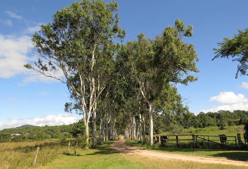 Bed and Breakfast Bed&Breakfast Gumtree on Gillies | Yungaburra | Queensland | Australia 10