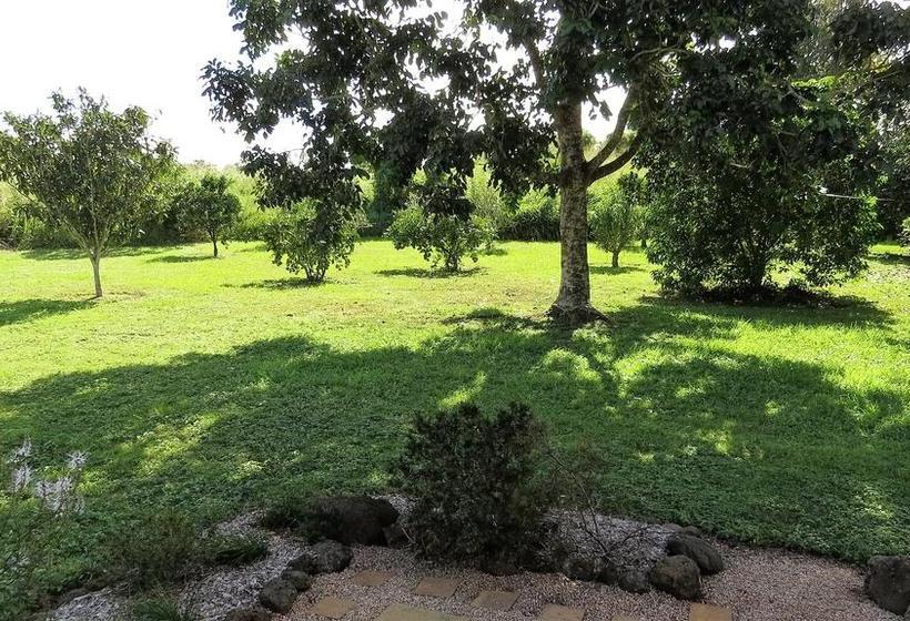 Bed and Breakfast Bed&Breakfast Gumtree on Gillies | Yungaburra | Queensland | Australia 11